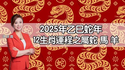 蛇2025|麥玲玲2025蛇年運程｜12生肖財運+愛情總運勢全面睇+開運大